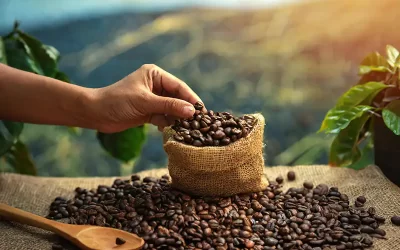 How to Recognize the Quality of Coffee Beans